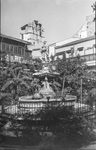 Scheda Fontana - San Domenico
