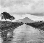 Scheda ANAS - Strada