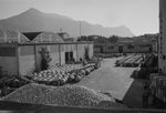 Scheda Industrie Chimiche Siciliane - Operai