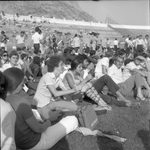 Scheda Manifestazione Pop 1970