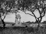 Scheda Agrigento - Tempio dei Dioscuri