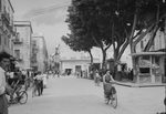 Scheda Marsala