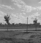Scheda Progetto piazza Generale Cascino