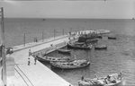 Scheda FINCOSIT - Porto di Terrasini