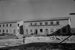 Scheda Ente di Coloniizzazione Latifondo Siciliano - Borgo Borzellino