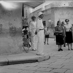 Scheda Vigili