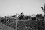 Scheda Ente di Colonizzazione - Borgo Schirò -  Trebbiatura Grano
