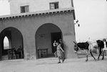 Scheda CT - Ente di Colonizzazione - Borgo Lupo