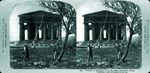 Scheda 38. Temple of Concord from East. Girgenti. Sicily