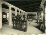 Scheda N. 1290 - Palermo - Museo - Sala dei Vasi Etruschi