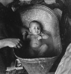 Scheda Ritratto - Bronzetti Lucia di 3 mesi