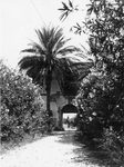 Scheda Bagheria - Villa de Cordova - Giardino