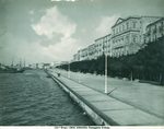 Scheda N. 13832 - Siracusa. Passeggiata Aretusa (Ed.ni Brogi)