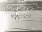 Scheda Famiglia Arena - bobina 70
