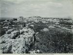 Scheda N. 19814 Siracusa - Contorni. Panorama delle rovine di Epipoli (Ed.ne Alinari)