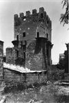 Scheda Bagheria - Torre di villa Branciforti di Butera