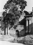 Scheda Bagheria - Certosa di villa Butera - Particolare