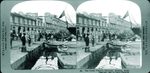 Scheda 95. The Corso Vittorio Emanuel. Messina. Sicily