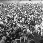 Scheda Manifestazione Pop 1970