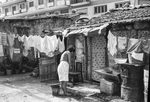 Scheda Questa Sicilia - Prima inchiesta sulle abitazioni - Baraccopoli