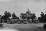 Scheda D’Asaro Biondo - Pulmini alla Palazzina Cinese
