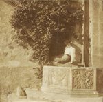 Scheda Palazzo Alliata Pietratagliata