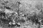 Scheda Targa Florio