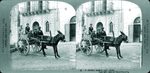 Scheda 91. A Sicilian donkey cart. Sicily