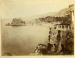 Scheda N. 1365 ord. 1 - Scilla