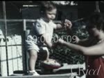 Scheda Famiglia Fiammella - bobina 12