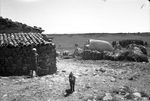 Scheda Azienda Bronte (CT) - Ente di colonizzazione - Aia della Masseria