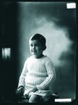 Scheda Bambino