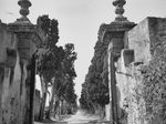 Scheda Castello Maniace - Ingresso viale