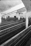 Scheda Cotonificio Siciliano - Vedute d’insieme