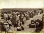 Scheda N. 9159 ord. 37 - Selinunte - Acropolis - Tempio di Ercole