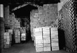 Scheda Benigni Gino - Int. Conserve alimentari