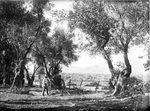 Scheda Piano Zucco - Veduta panoramica