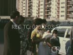 Scheda Famiglia Cicala - bobina 11