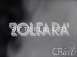 Scheda Zolfara
