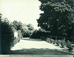 Scheda N. 1203 Palermo - Villa d'Orléans (Ed.ne E. Melendez - Palermo)