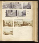 Scheda Ustica 1901 e Real Favorita di Palermo