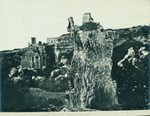 Scheda N. 1427 Siracusa - Latomia del Paradiso (Ed.ne E. Melendez - Palermo)