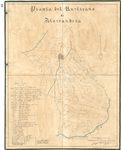 Scheda Pianta del Rusticano di Alessandria