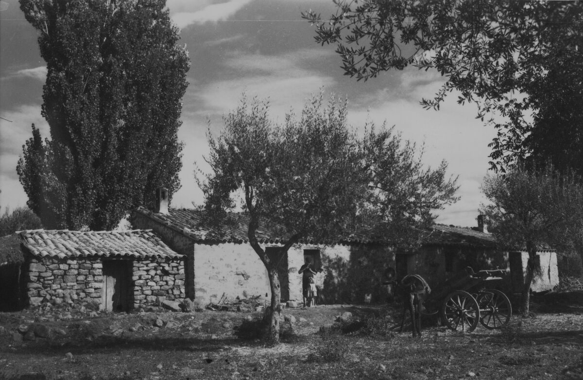 Nessun titolo