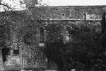 Scheda Bronte - Abbazia Maniace - Particolare
