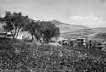 Scheda Puccio Barone Antonio - Gruppo E - Panoramica
