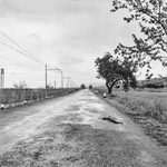 Scheda ANAS - Strada
