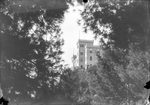 Scheda Castello Utveggio tra gli alberi