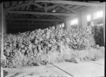 Scheda Fabbrica siciliana cementi artificiali Conigliaro & Ghilardi