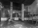 Scheda Arenella Fabbrica Chimica - Tinaie